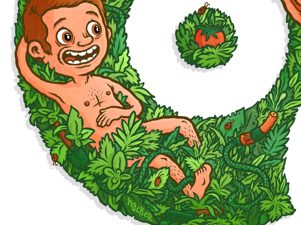 Illustration by Michael Hacker for Biobizz The Art of Growing