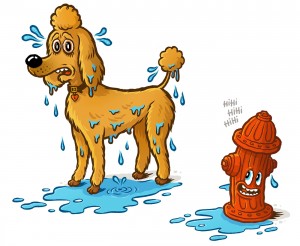 GEOlino dog illustration by Michael Hacker