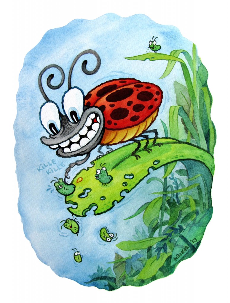 Ladybug by Michael Hacker