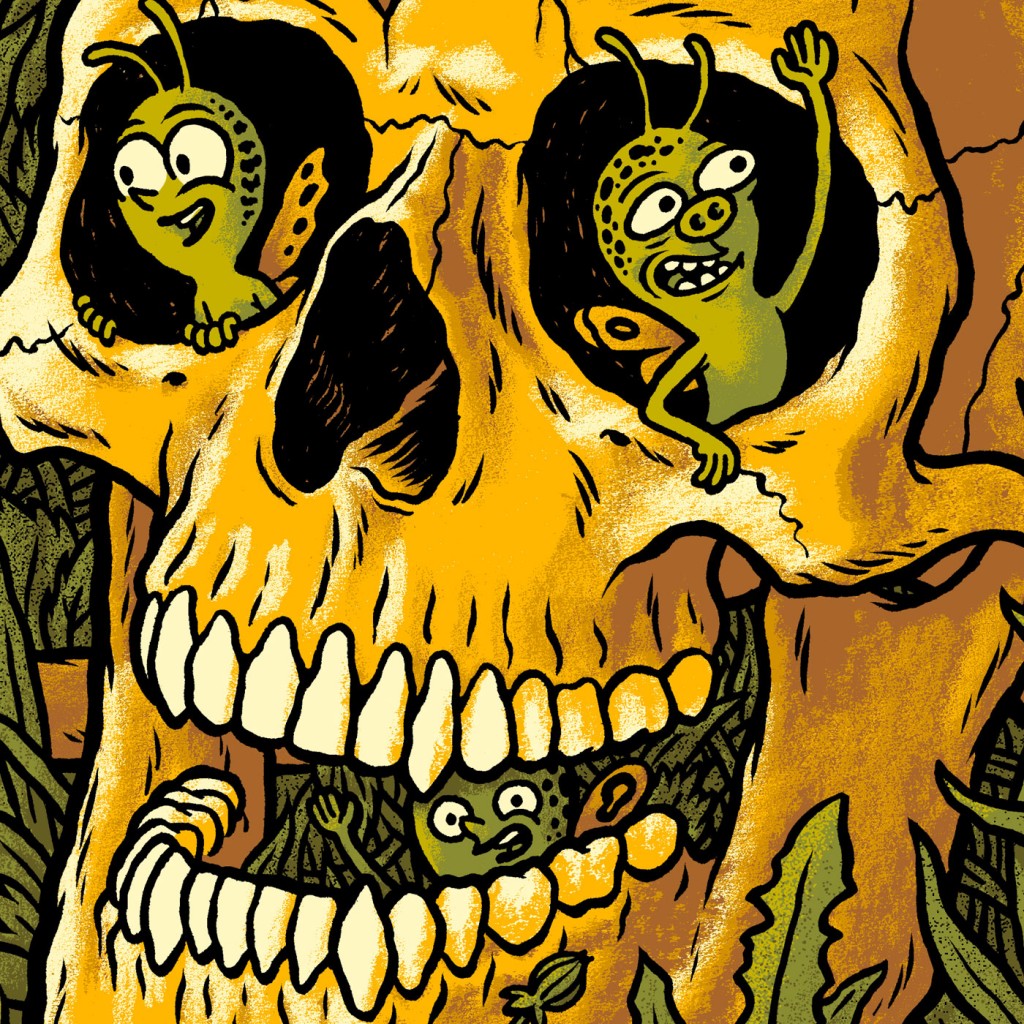 Pixies skull gig poster Florida Theatre